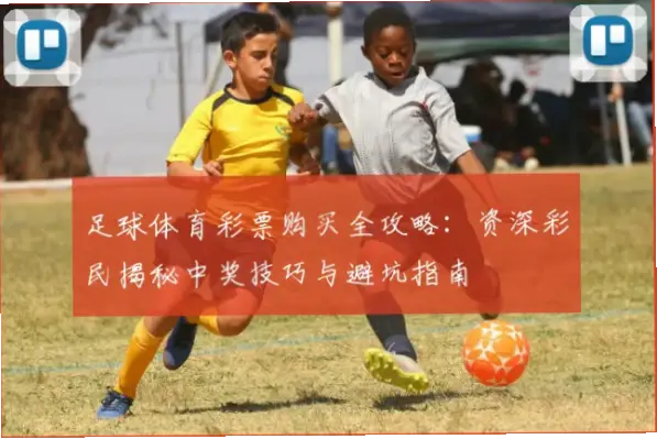 足球彩票怎么买？新手避坑指南